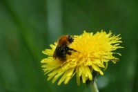 /album/bildgalleri-startsida/img-0643-jpg/